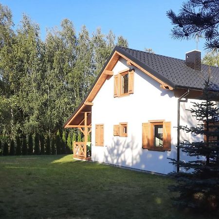 Domek Caloroczny Nad Jeziorem Budzislawskim, Wielkopolska Na Wynajem Anastazewo Экстерьер фото