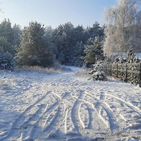 Domek Caloroczny Nad Jeziorem Budzislawskim, Wielkopolska Na Wynajem Anastazewo Экстерьер фото