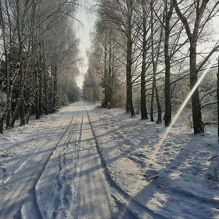 Domek Caloroczny Nad Jeziorem Budzislawskim, Wielkopolska Na Wynajem Anastazewo Экстерьер фото