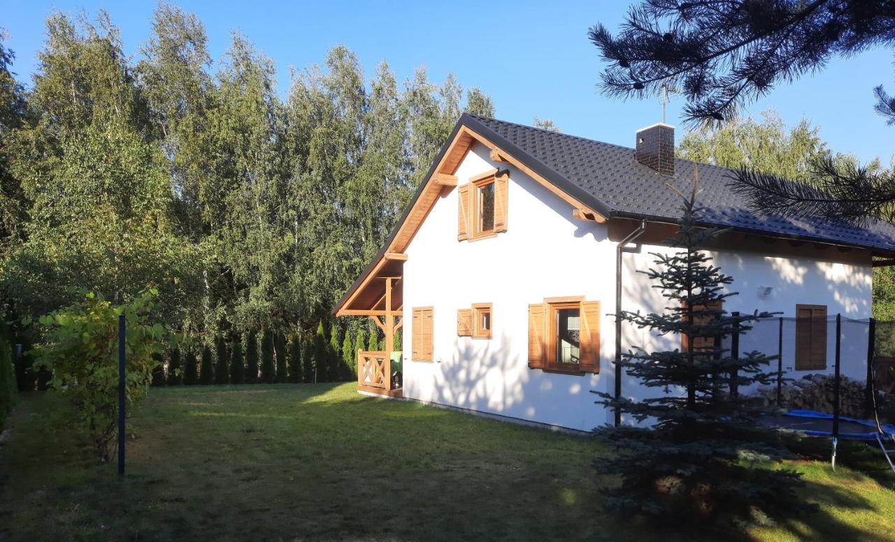 Domek Caloroczny Nad Jeziorem Budzislawskim, Wielkopolska Na Wynajem Anastazewo Экстерьер фото