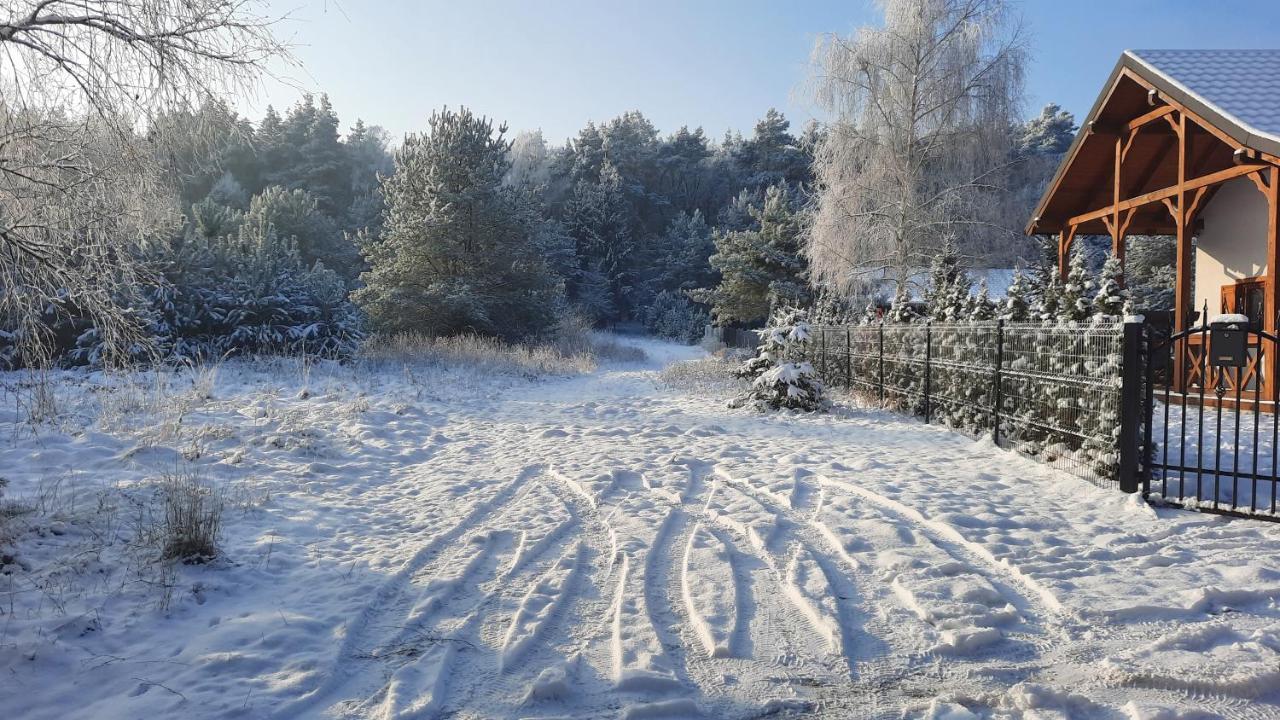 Domek Caloroczny Nad Jeziorem Budzislawskim, Wielkopolska Na Wynajem Anastazewo Экстерьер фото