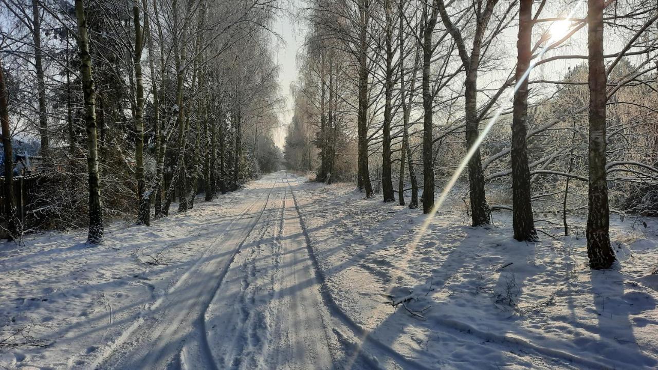 Domek Caloroczny Nad Jeziorem Budzislawskim, Wielkopolska Na Wynajem Anastazewo Экстерьер фото