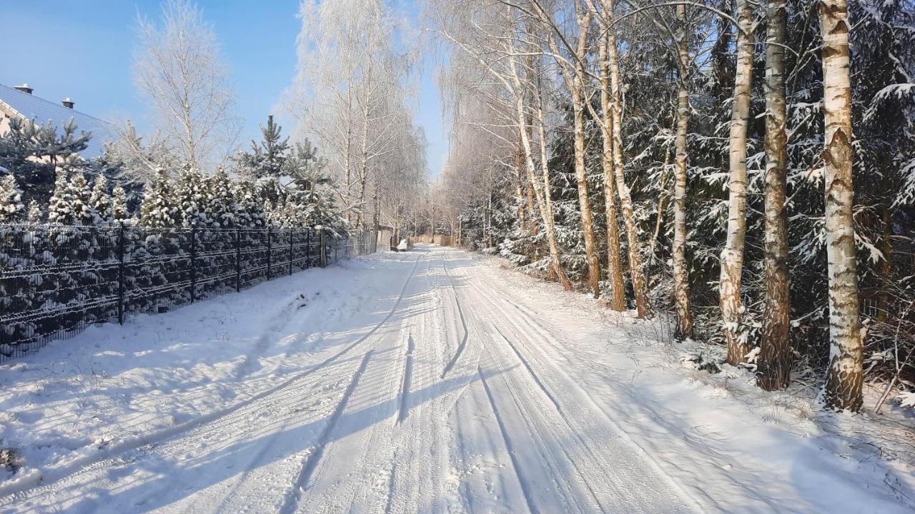 Domek Caloroczny Nad Jeziorem Budzislawskim, Wielkopolska Na Wynajem Anastazewo Экстерьер фото